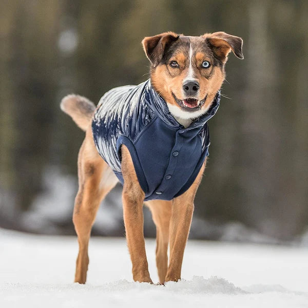 Navy | Dog Puffer Jacket