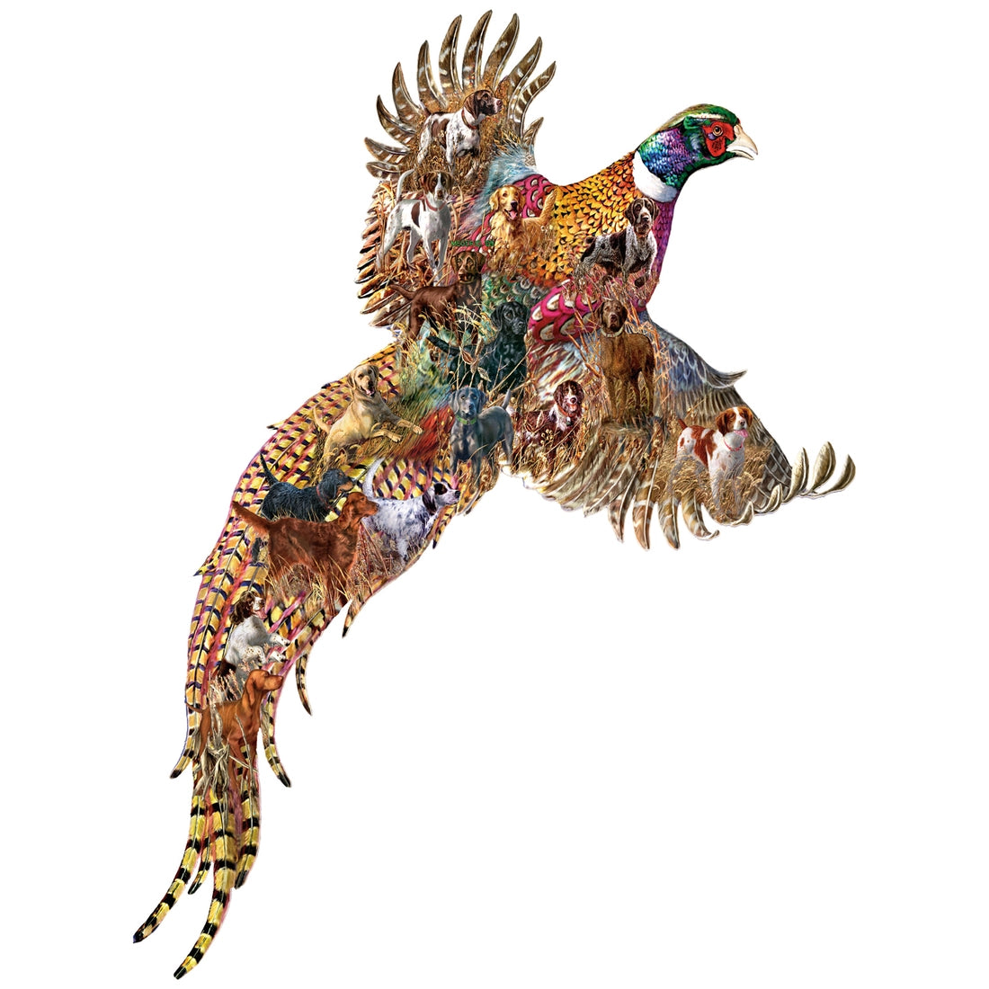 Puzzle Shaped Afield Pheasant