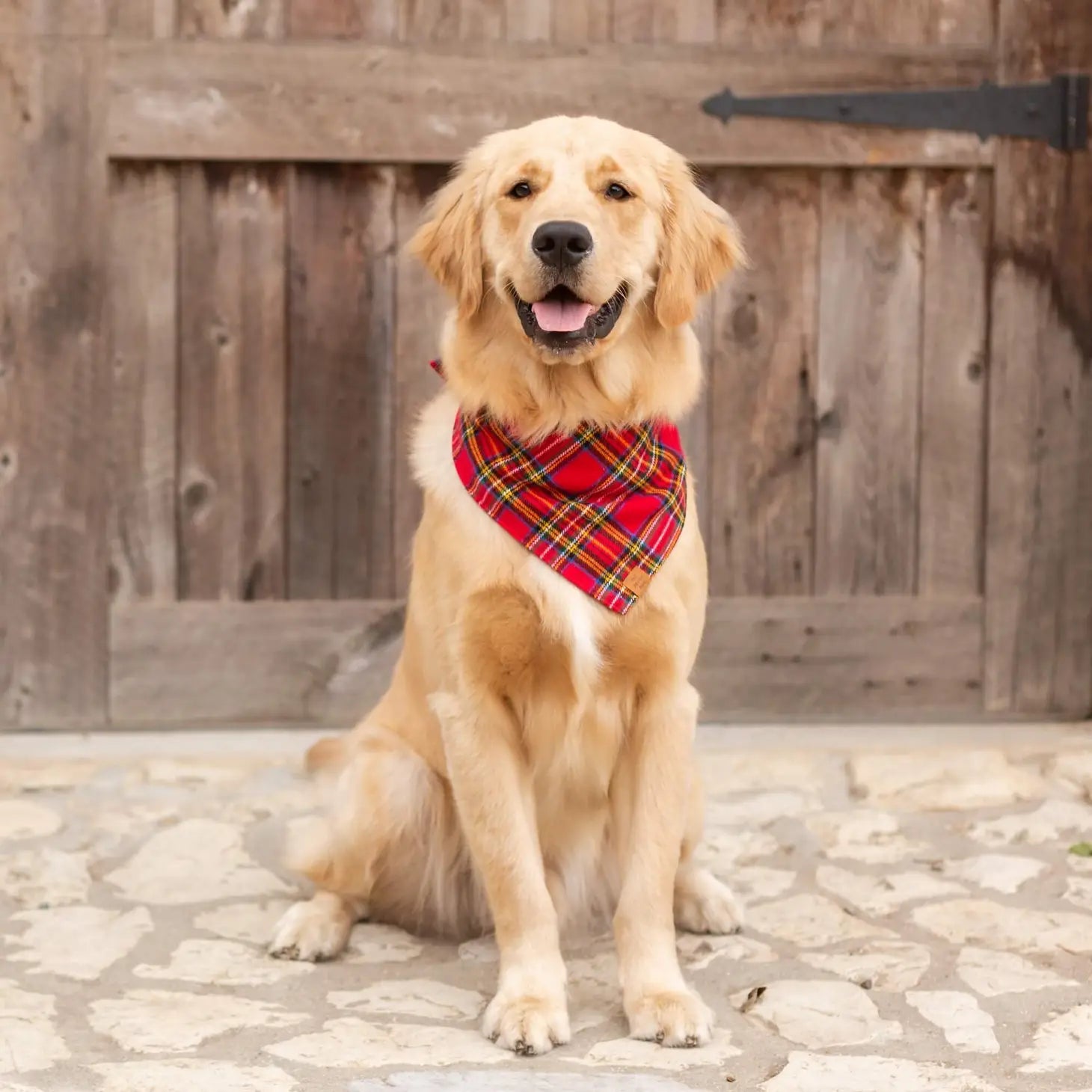 Bandana Holiday Plaid Flannel