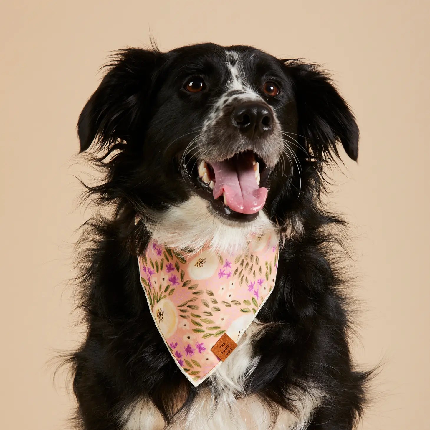 Bandana Dog Harper Floral