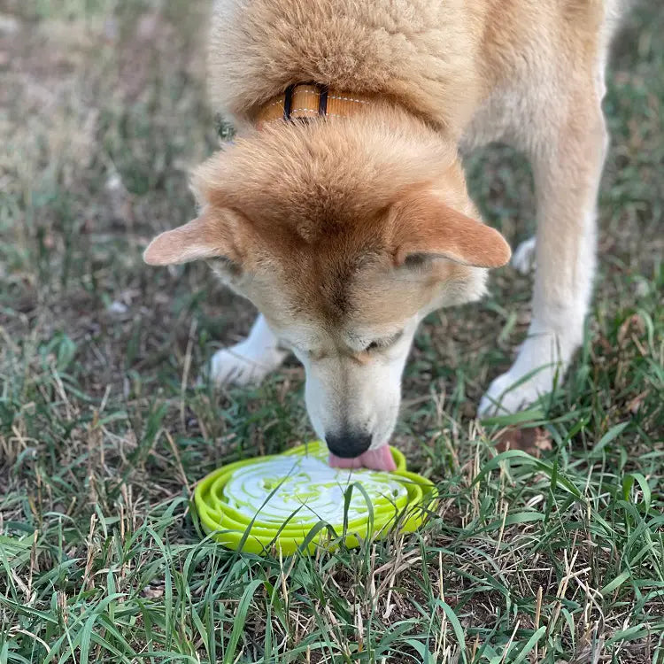 Enrichment Dog Tray Lick Mat - Frog Design