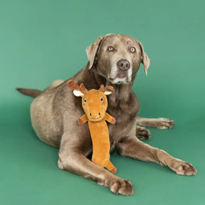 Wagsdale - Don't Moose With Me Plush Dog Toy