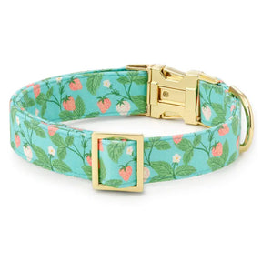 Dog Collar Berry Patch