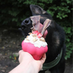 SodaPup - Cupcake With Treat Insert Dog Toy-Southern Agriculture