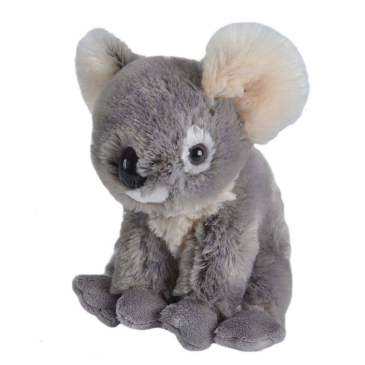 Plush Koala-Southern Agriculture