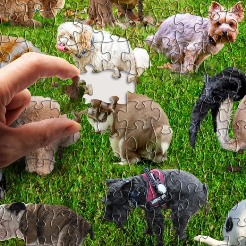 101 Pooping Puppies 1,000 Piece Puzzle-Southern Agriculture