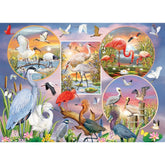 Puzzle: Waterbird Magic-Southern Agriculture