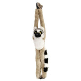 Plush Ring Tailed Lemur-Southern Agriculture