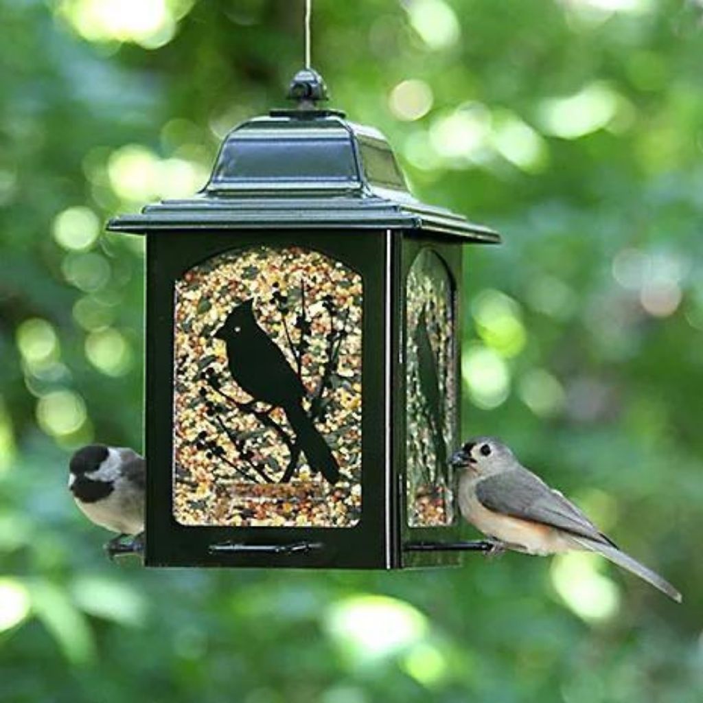 Perky Pet Birds and Berries Lantern-Southern Agriculture