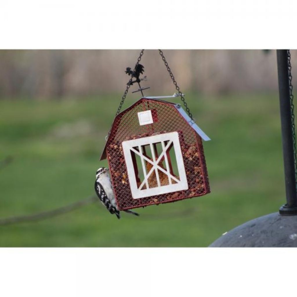 Mesh Wild Bird Feeder Barn-Southern Agriculture