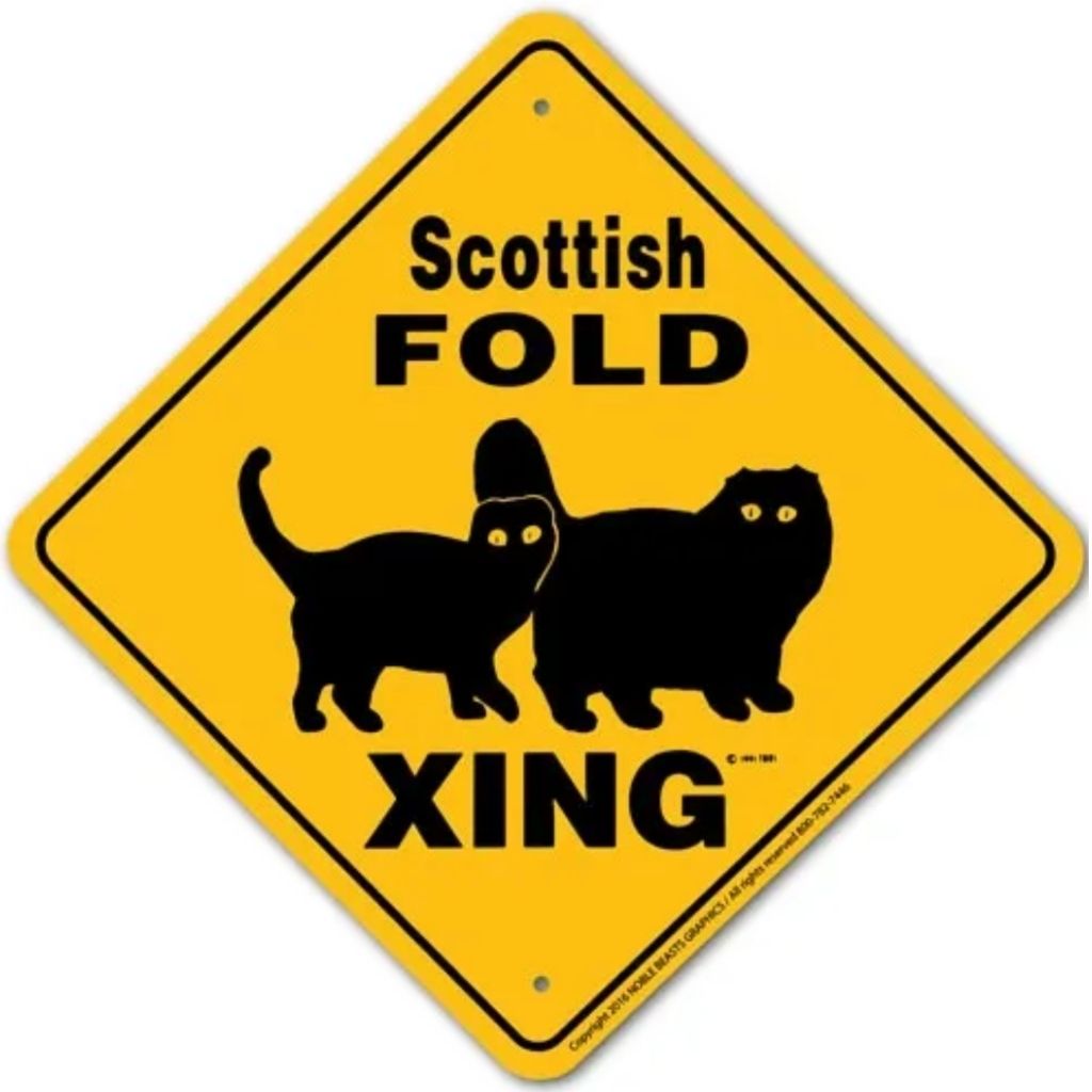 Scottish Fold Cat X-ing Sign