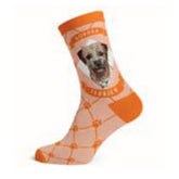 SockAtomic - Border Terrier