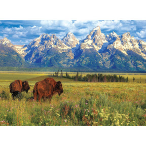 Puzzle Grand Teton National Park