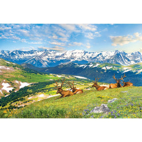 Puzzle Mountain Elks