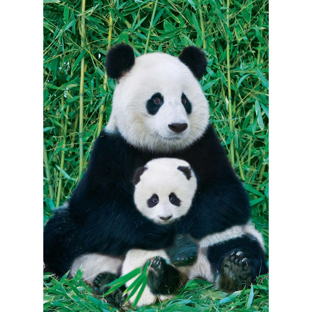 Puzzle Panda & Baby