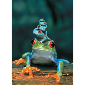 Puzzle Red-Eyed Tree Frog