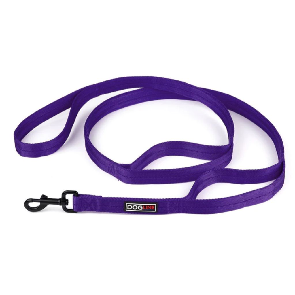 Leash Nylon Double Thick Multi Hidden Handles 1" x 6'