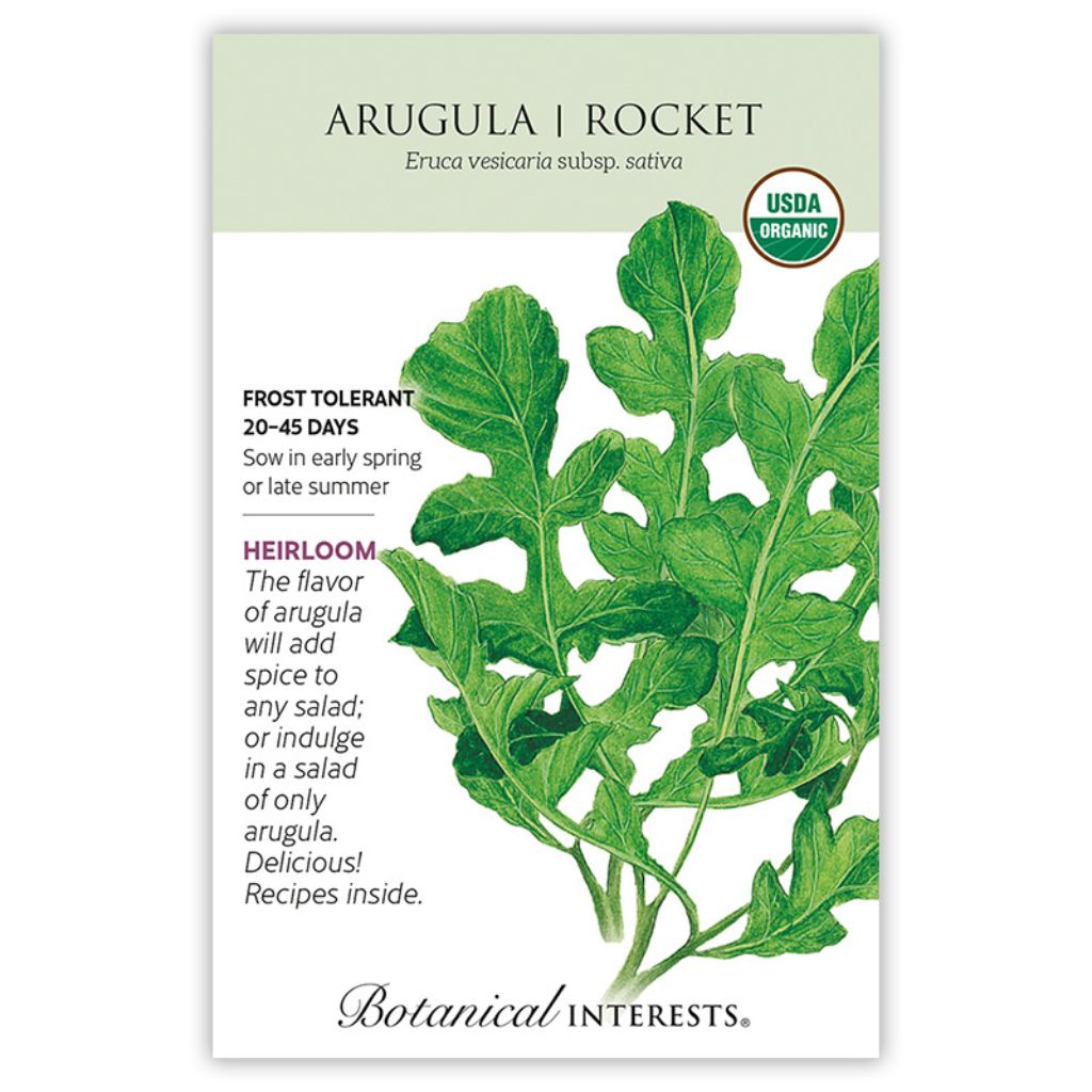 Arugula Rocket Organic Seeds