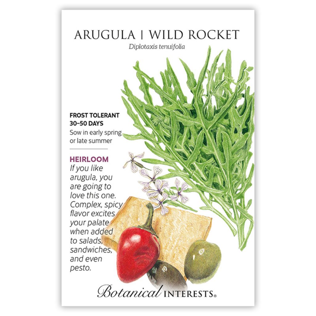 Argula Wild Rocket Seeds