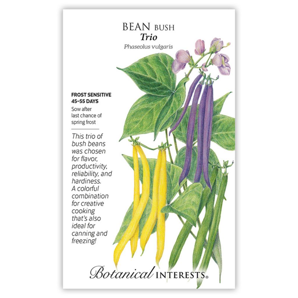 Bean Bush Trio Blend Seeds