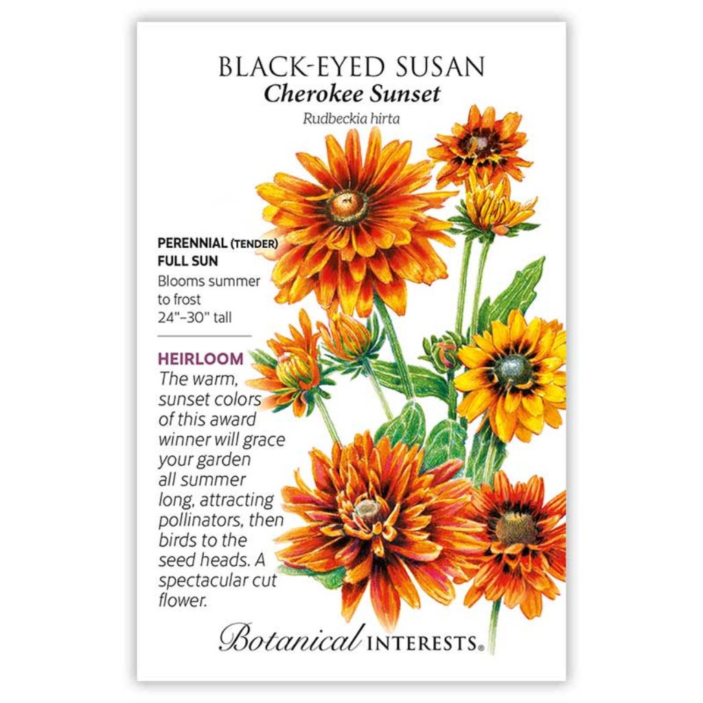 Black-Eyed Susan Cherokee Sunset Seeds