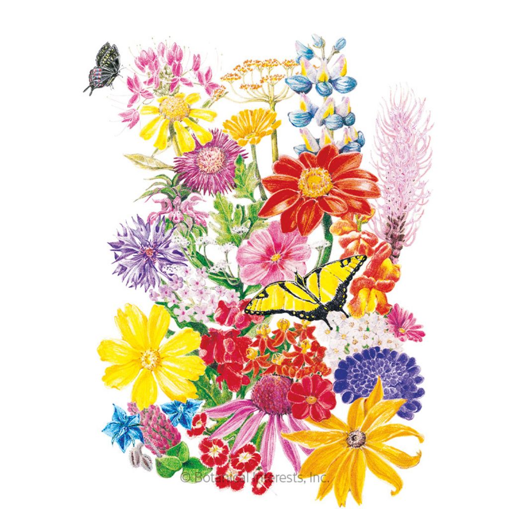 Flower Mix "Bring Home the Butterflies" Seeds