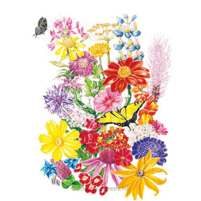 Flower Mix "Bring Home the Butterflies" Seeds