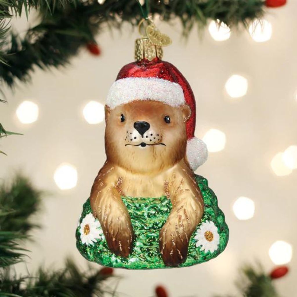 Old World Christmas - Groundhog Ornament