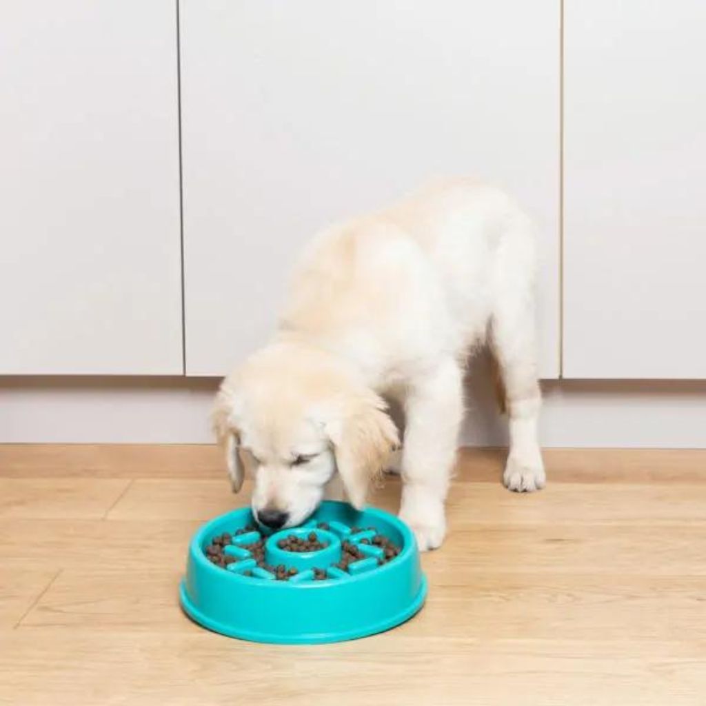 ZippyPaws - Happy Bowl Donut Slow Feed Bowl For Dogs