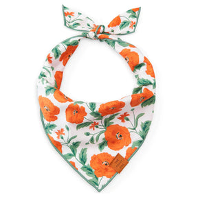 Bandana Dog Poppies