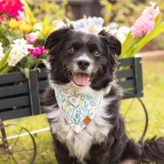 Bandana Dog Tulip Garden