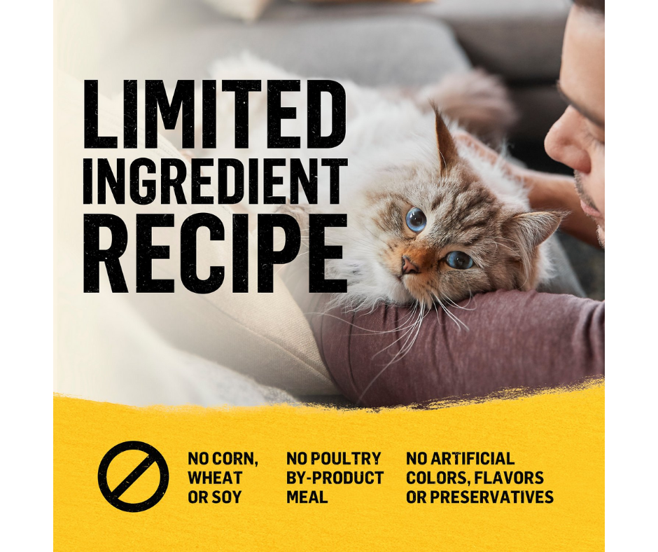 Purina Beyond - All Breeds, Adult Cat White Meat Chicken & Whole Oat Meal Recipe Dry Cat Food-Southern Agriculture