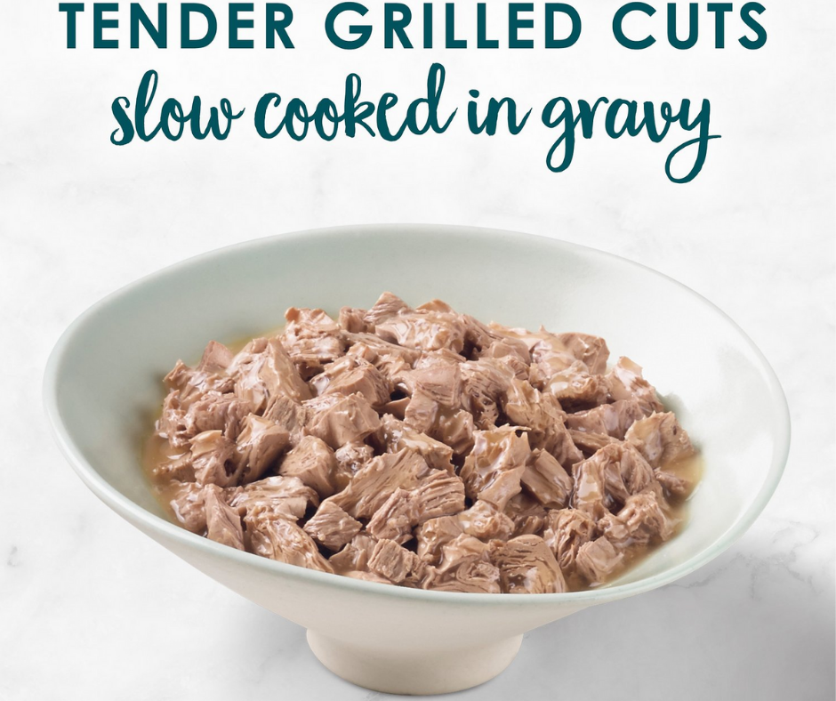 Purina Fancy Feast - All Breeds, Adult Cat Grilled Turkey in Gravy Recipe Canned Cat Food-Southern Agriculture