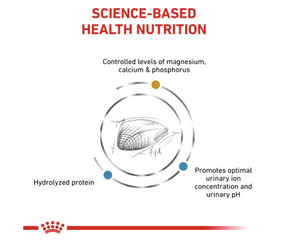 Royal Canin Veterinary Diet - Urinary SO + Hydrolyzed Protein Dry Cat Food-Southern Agriculture