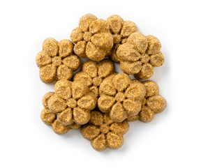 Fruitables - Pumpkin & Banana Crunchy. Dog Treats.-Southern Agriculture