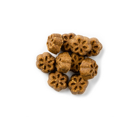 Fruitables - Skinny Minis Pumpkin & Berry Soft & Chewy. Dog Treats.-Southern Agriculture