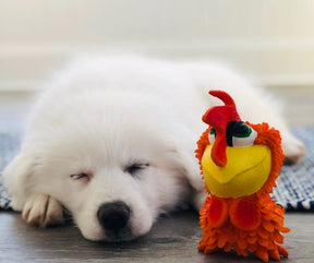 Lanco - Sensory Squeaky Rooster. Dog Toy.-Southern Agriculture