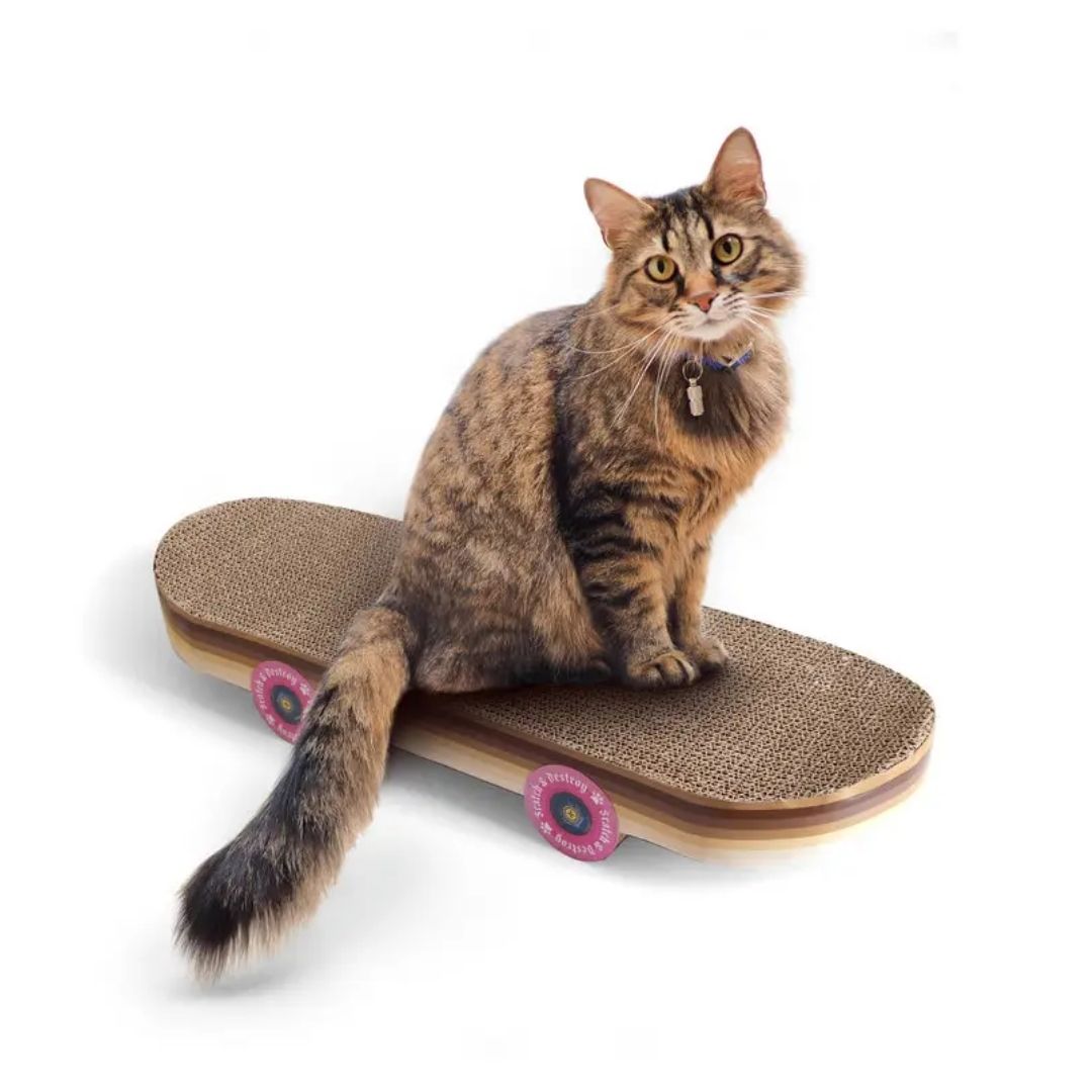 Cat Scratcher Skateboard-Southern Agriculture