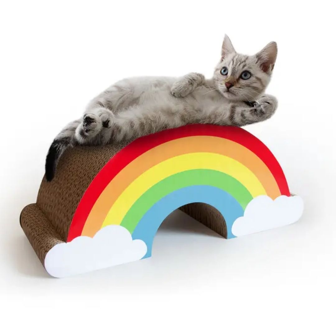 Cat Scratcher Rainbow-Southern Agriculture