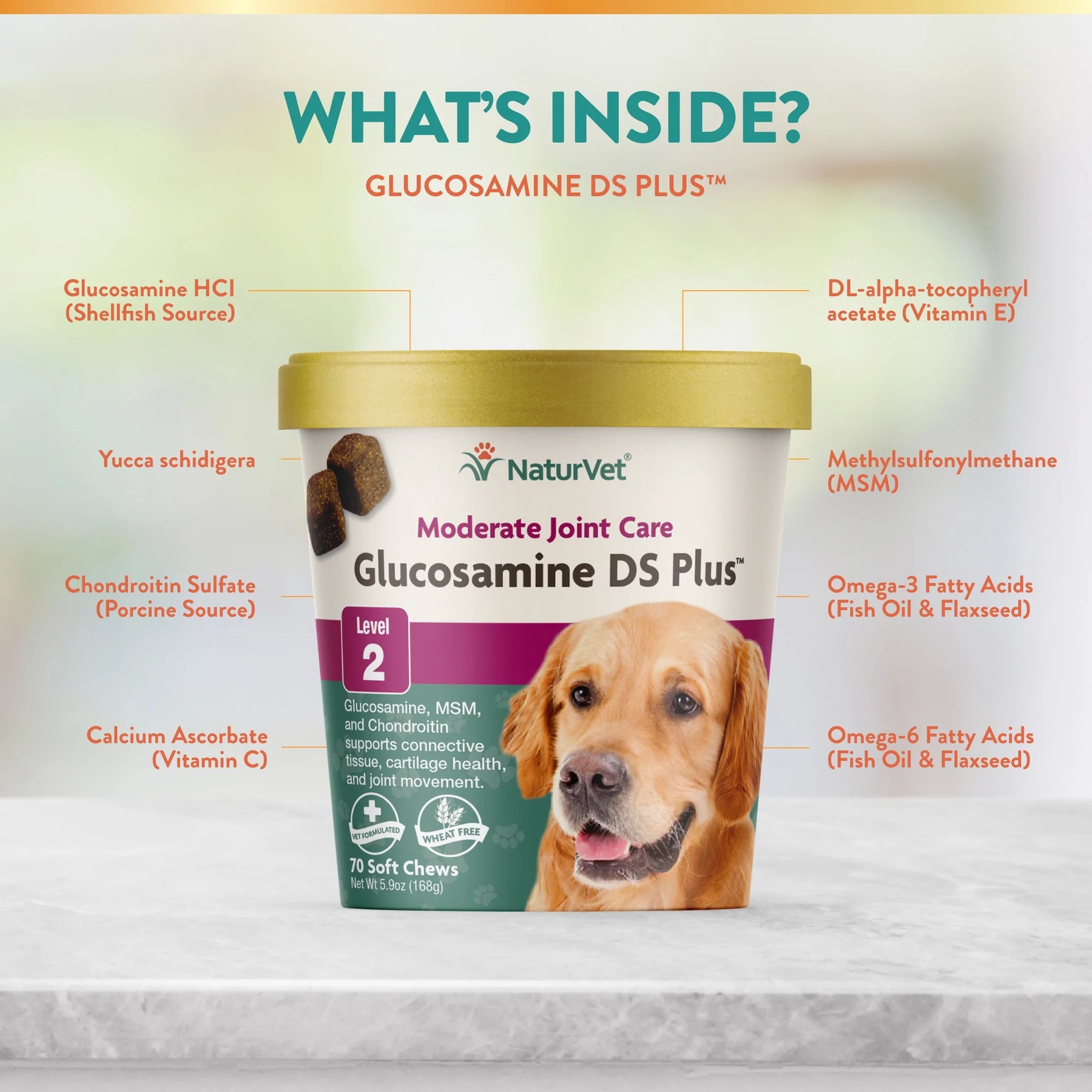 Glucosamine DS Plus Level 2	Soft Chews by NaturVet