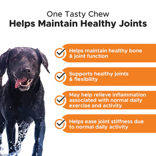 Pet Honesty - Hip + Joint Health Chicken Tasty Chews For Dogs