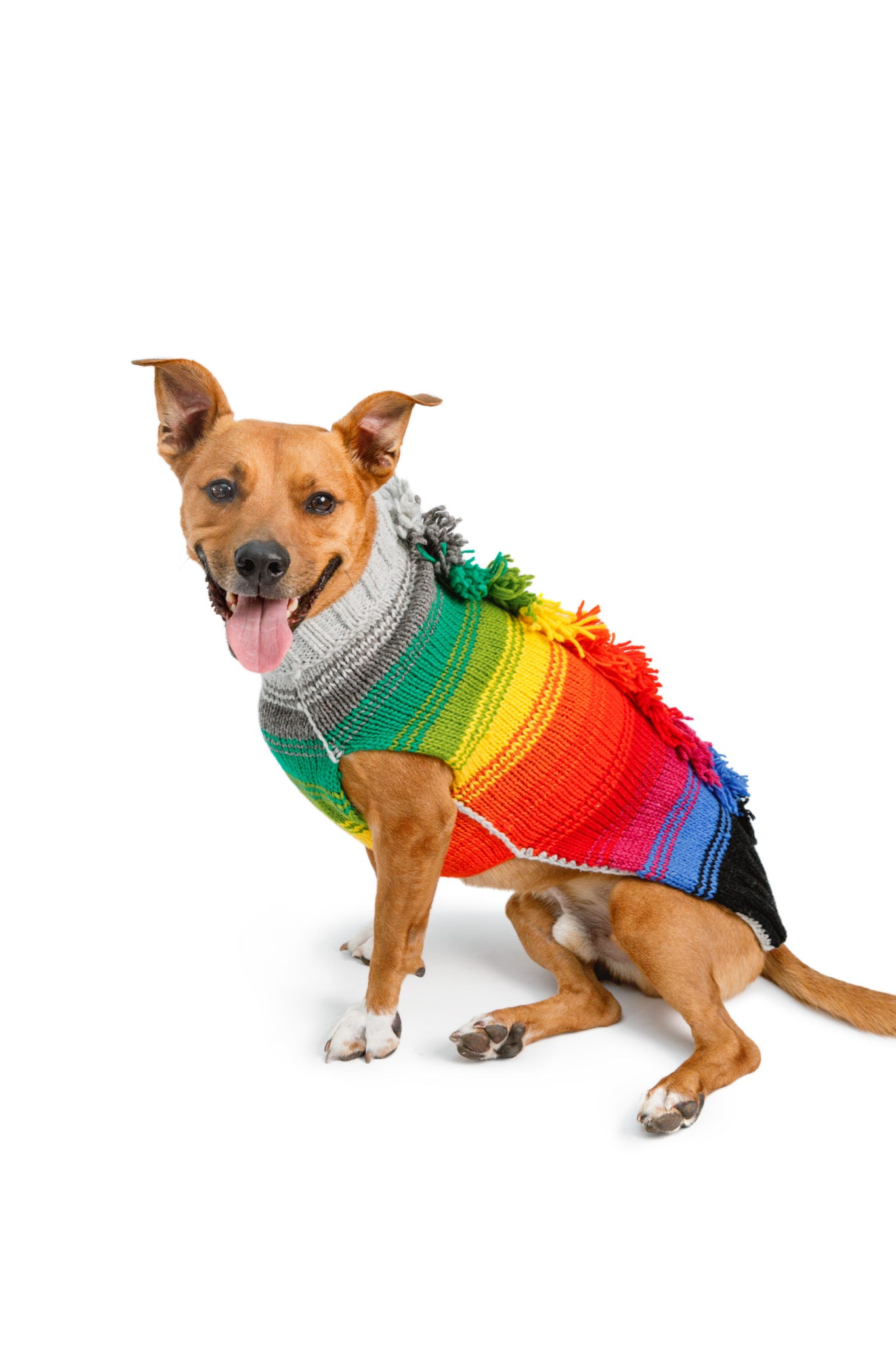 Dog Sweater Rainbow Mohawk