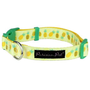 Parisian Pet Pineapples Dog Collar-Southern Agriculture