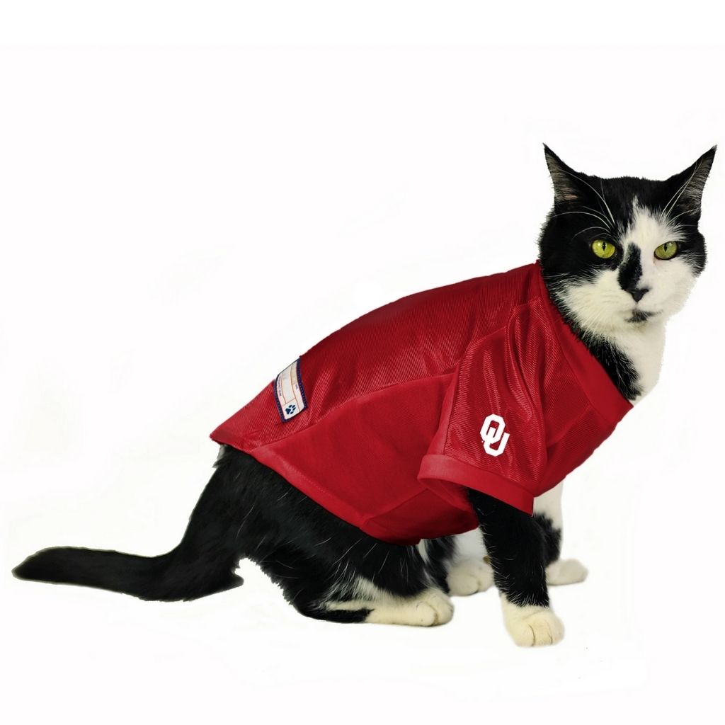 University of Oklahoma Stretch Jersey For Pets-Southern Agriculture