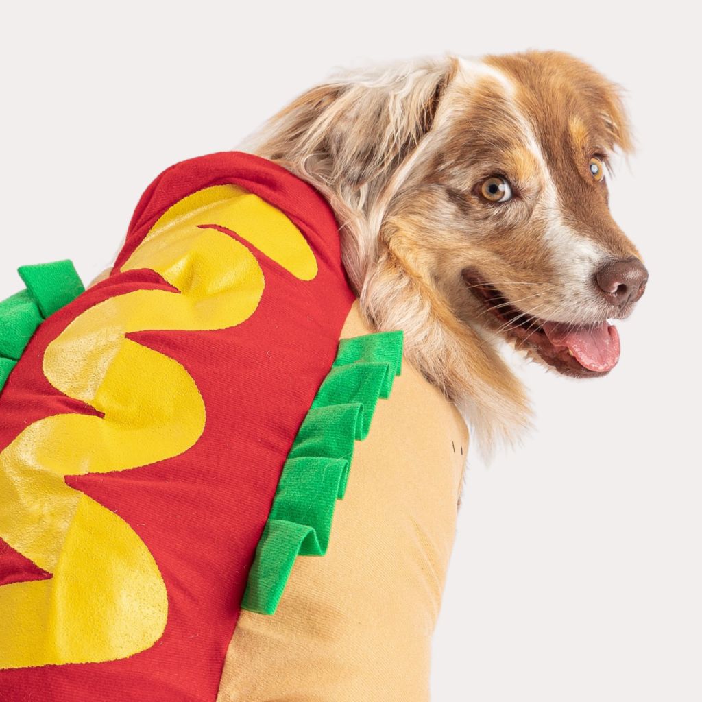 Hot Dog Costume For Dog