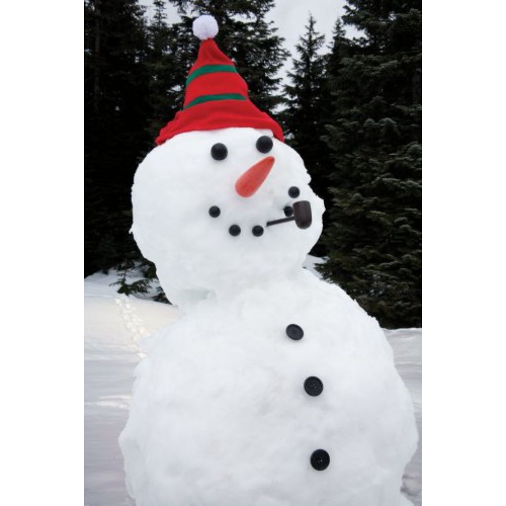 Dress Your Own Snowman Kit