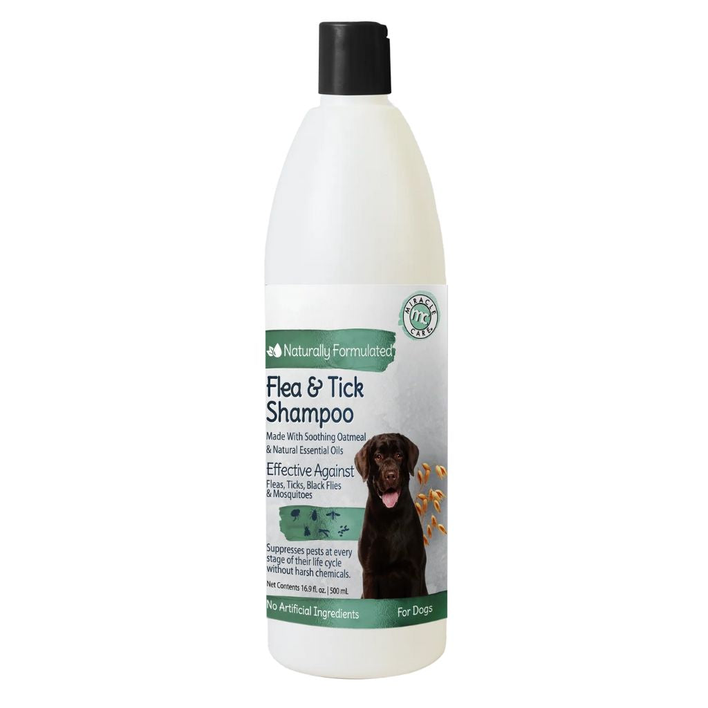 Natural Flea & Tick Dog Shampoo 16.9 oz.