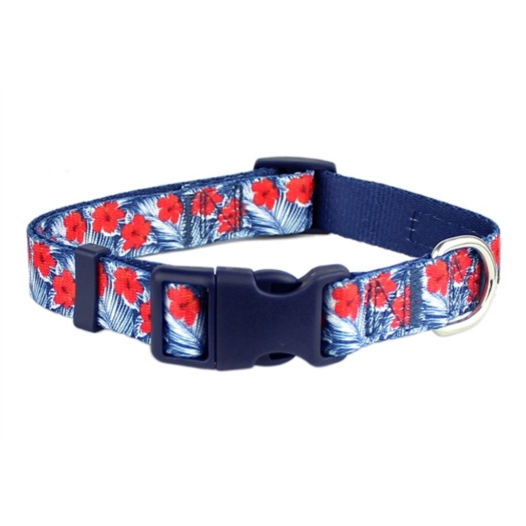 Parisian Pet - Dog Collar Hibiscus Blue-Southern Agriculture