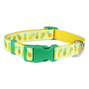 Parisian Pet Pineapples Dog Collar-Southern Agriculture