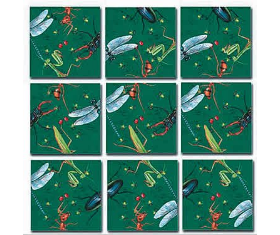 Scramble Squares - Insects.-Southern Agriculture